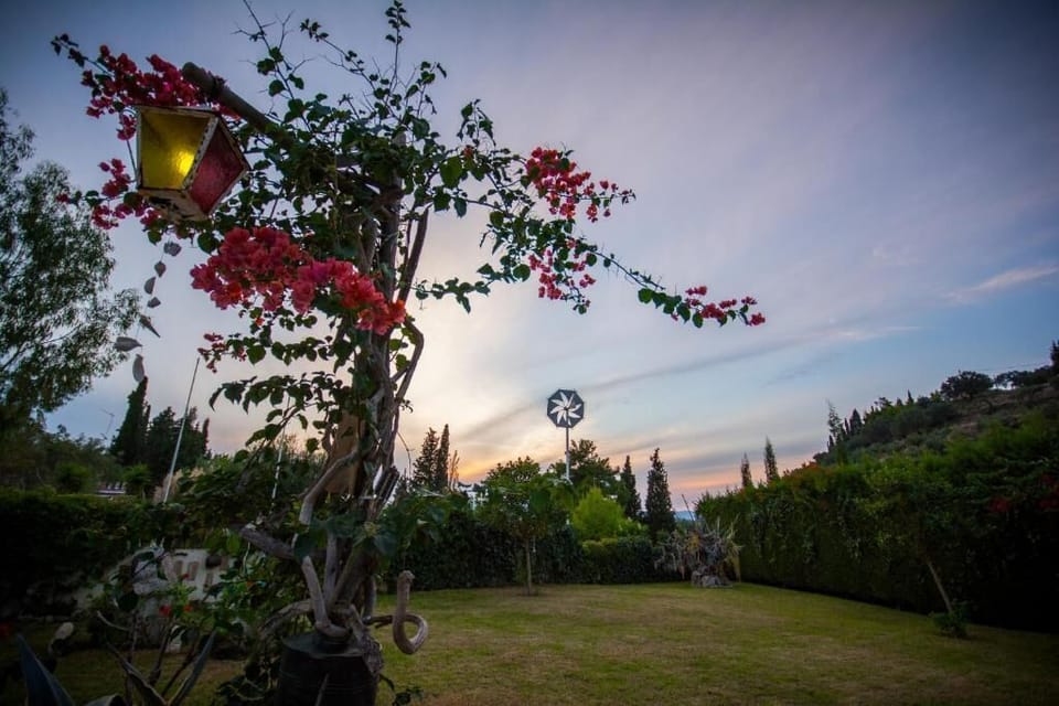 Luxury Apartment, Patio, Mountain View | Courtyard view