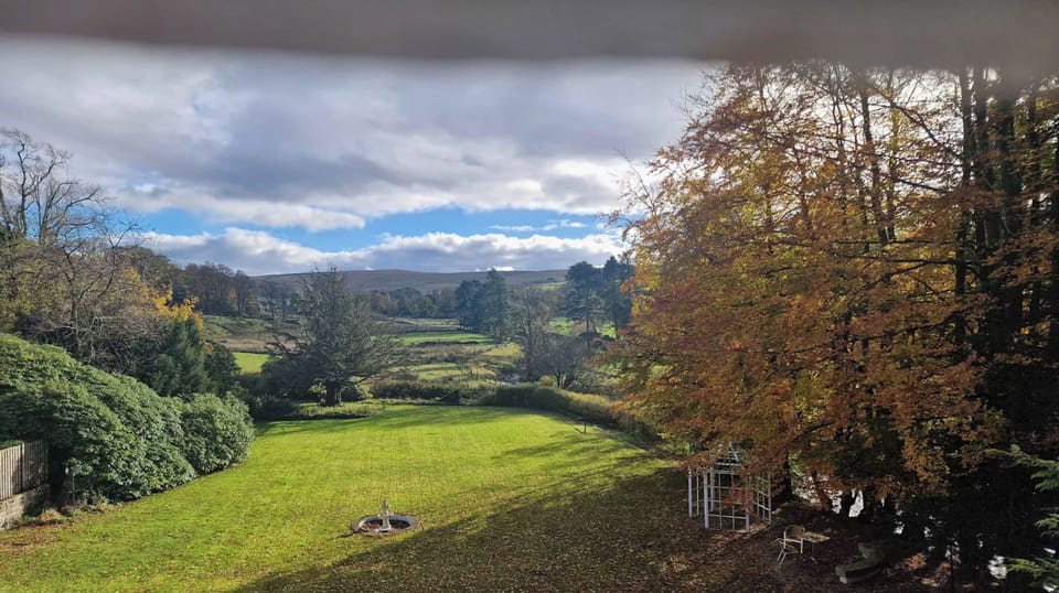 Bedroom View