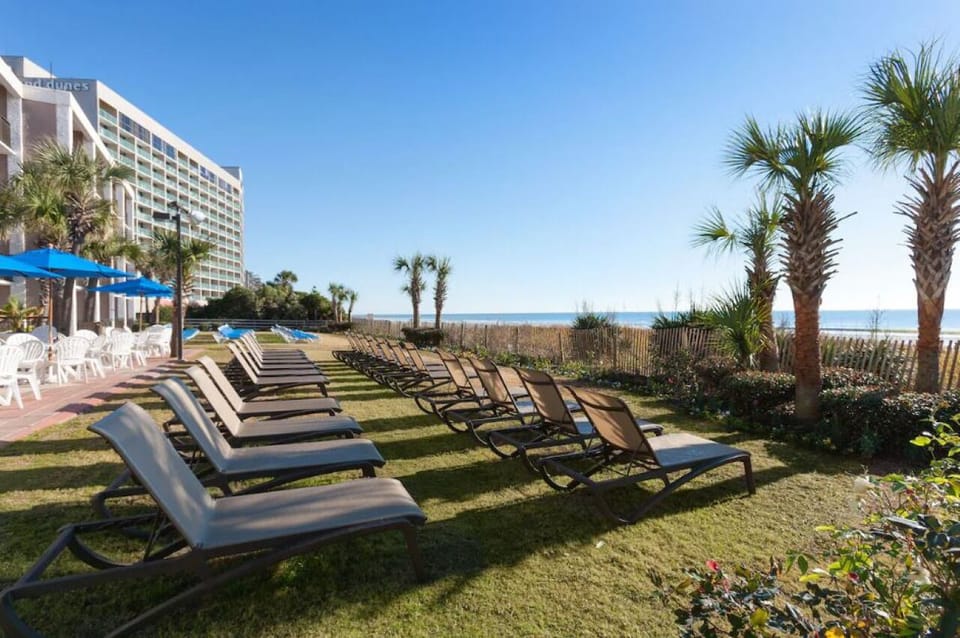 Soak up sunshine on oceanfront loungers steps from sand.