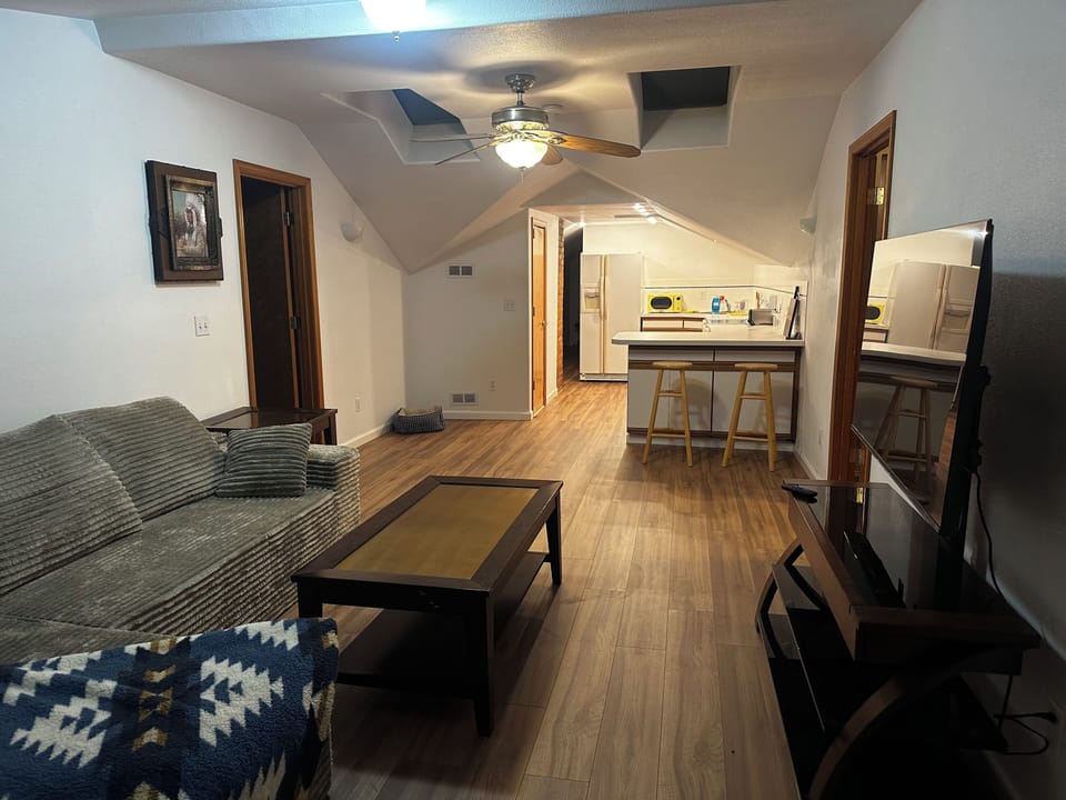 Open front room/dining/kitchen