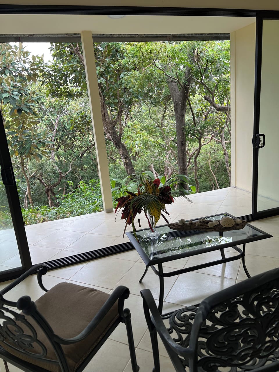 Living room jungle view 