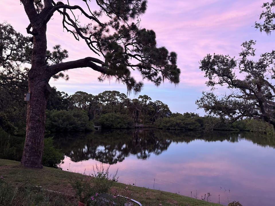 Cotton candy night sky
