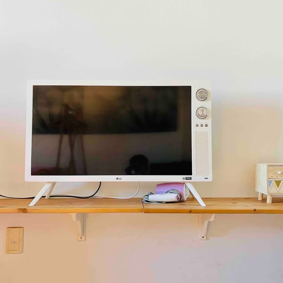 Television