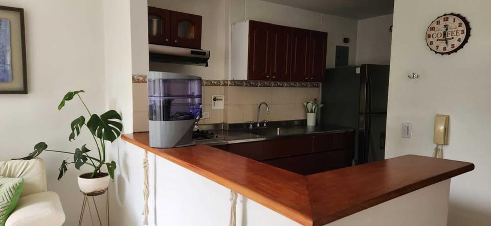 Comfort Apartment, Balcony, City View | Private kitchen
