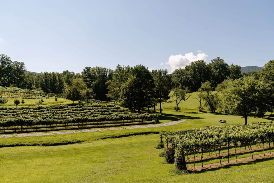Redtail Mountain Vineyard 70