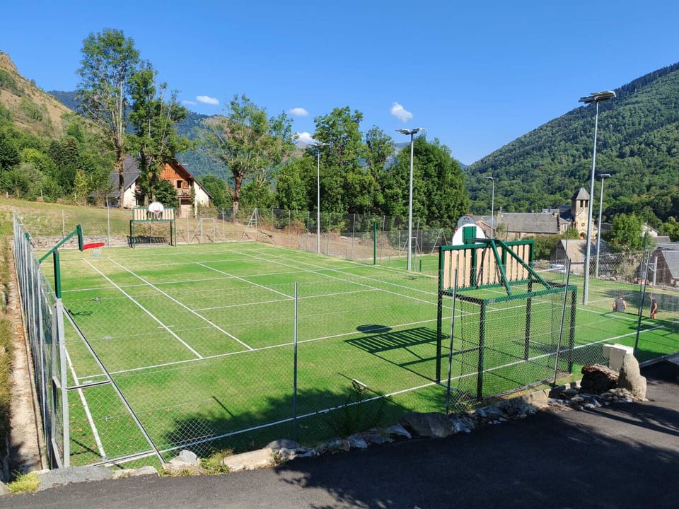 Sport court