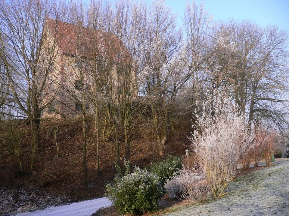 Winter view