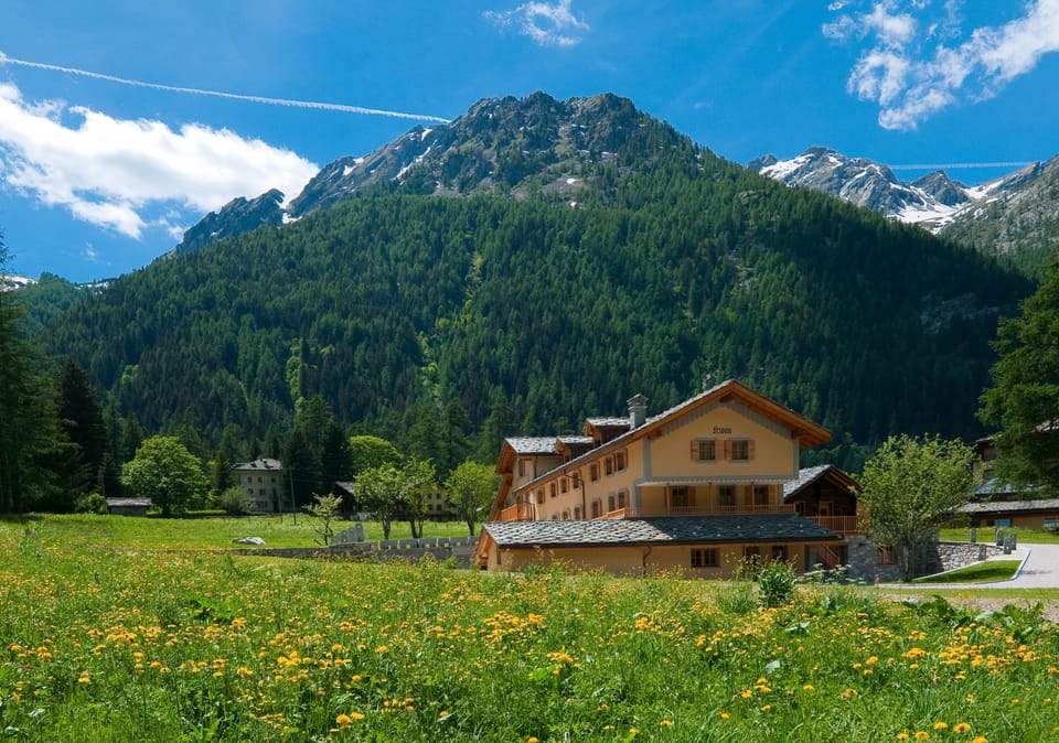 Mountain view