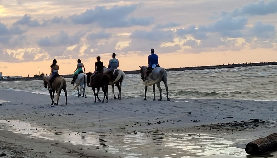 Horseback riding 6 miles at Cedar Island Ranch
