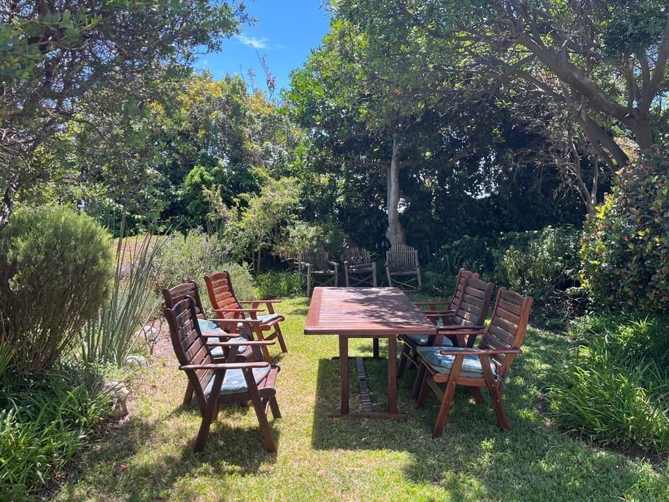 A lost Ross Turaco sits in that tree calling 😢. Beautiful bird.