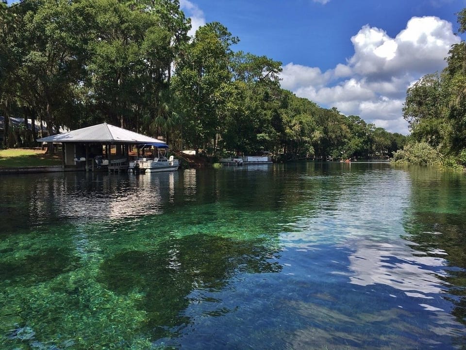 Clear view of Rainbow River 72 degrees all year around.