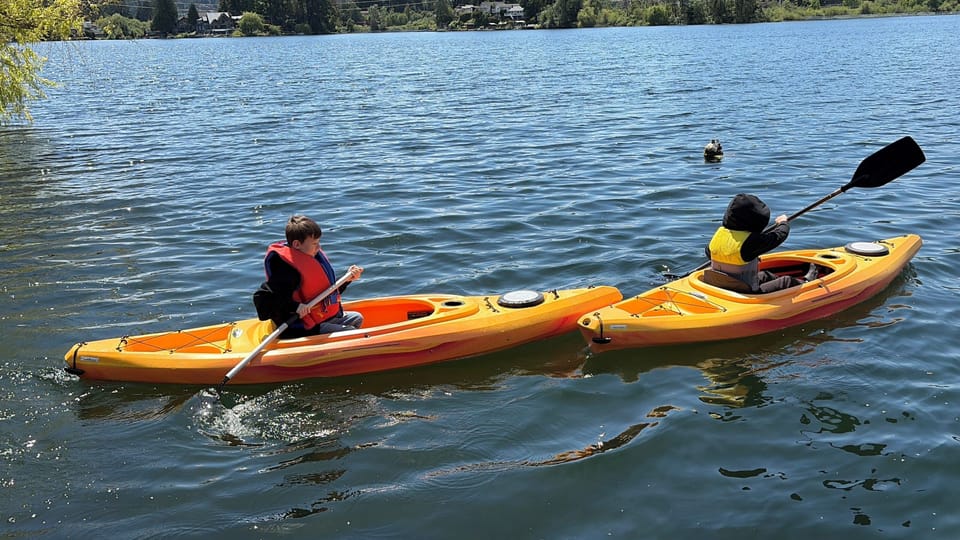 Paddle boat, kayaks and fishing rods for guests