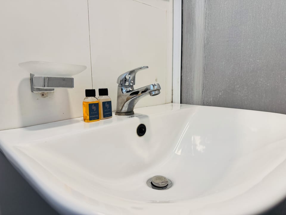 Basic Double or Twin Room | Bathroom | Shower, free toiletries, towels, soap