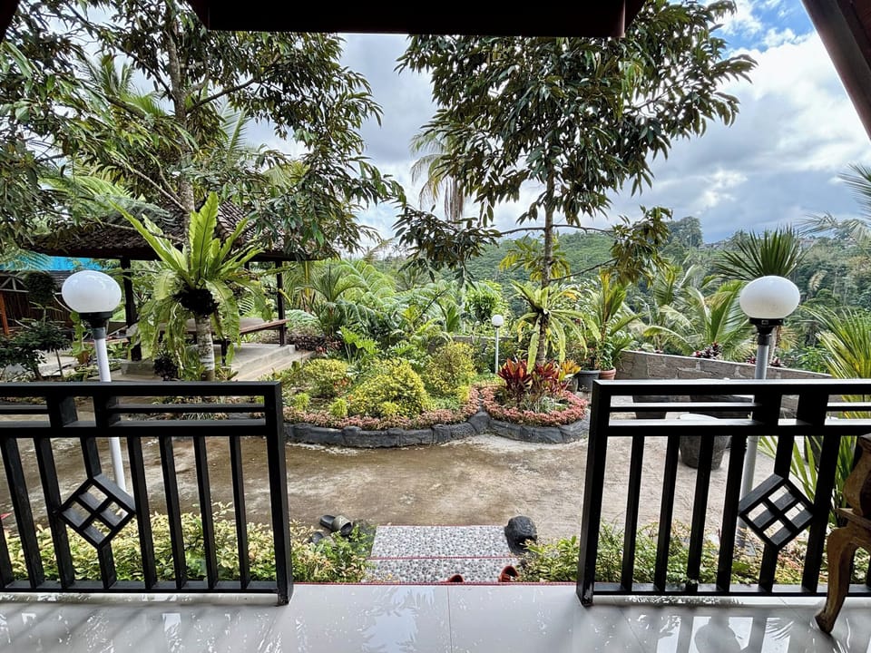 View from room