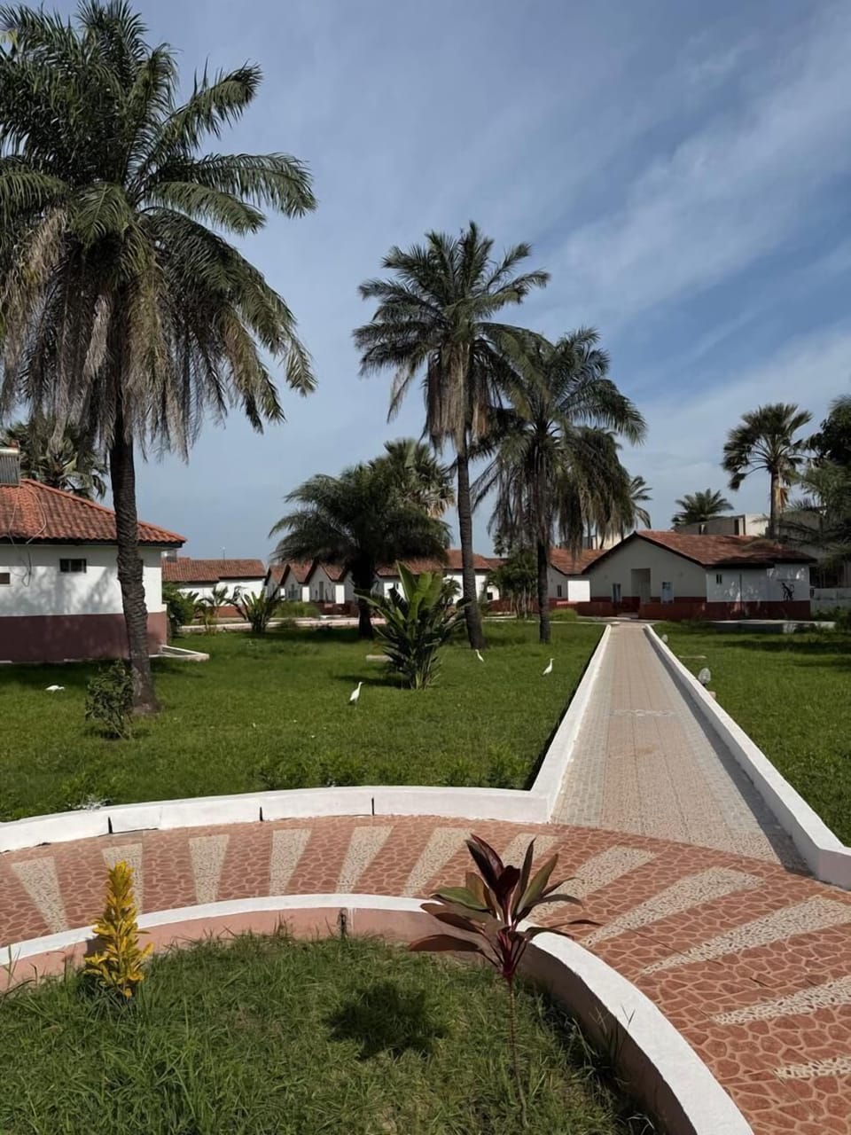 Garden view