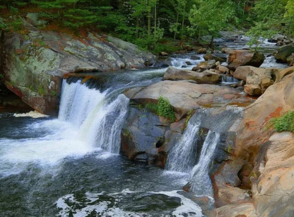 Tellico River – 5 min driveCrystal-clear mountain water perfect for fly-fishing, picnicking, and scenic drives along River Road.