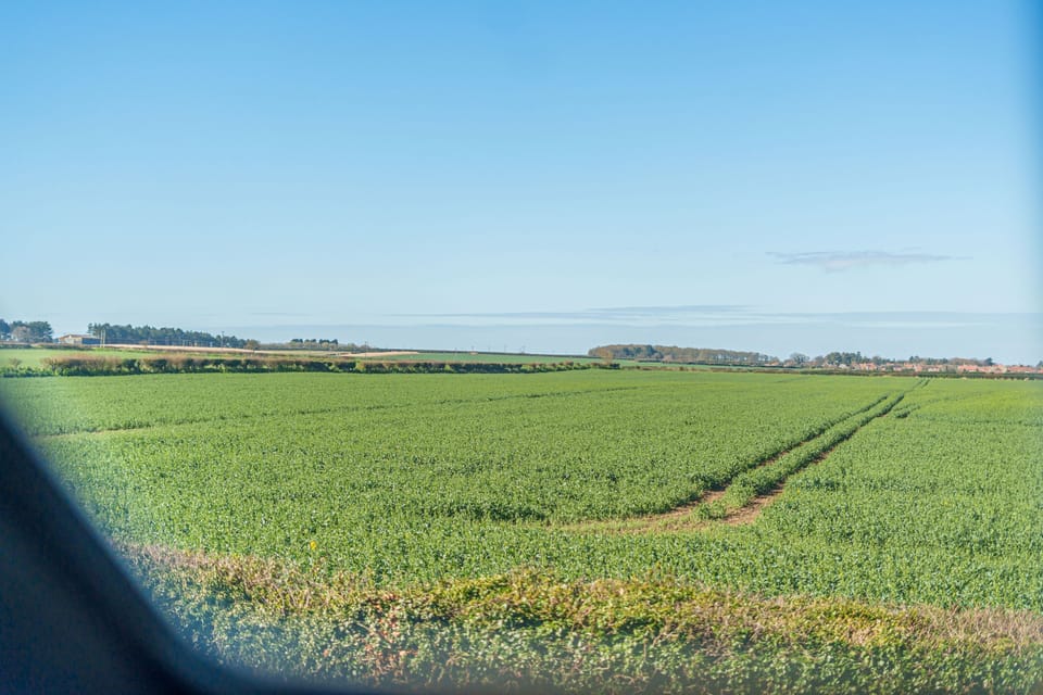 field views