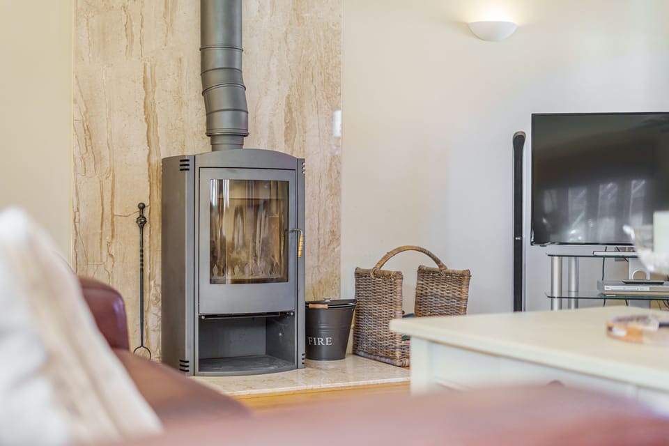 wood burning stove
