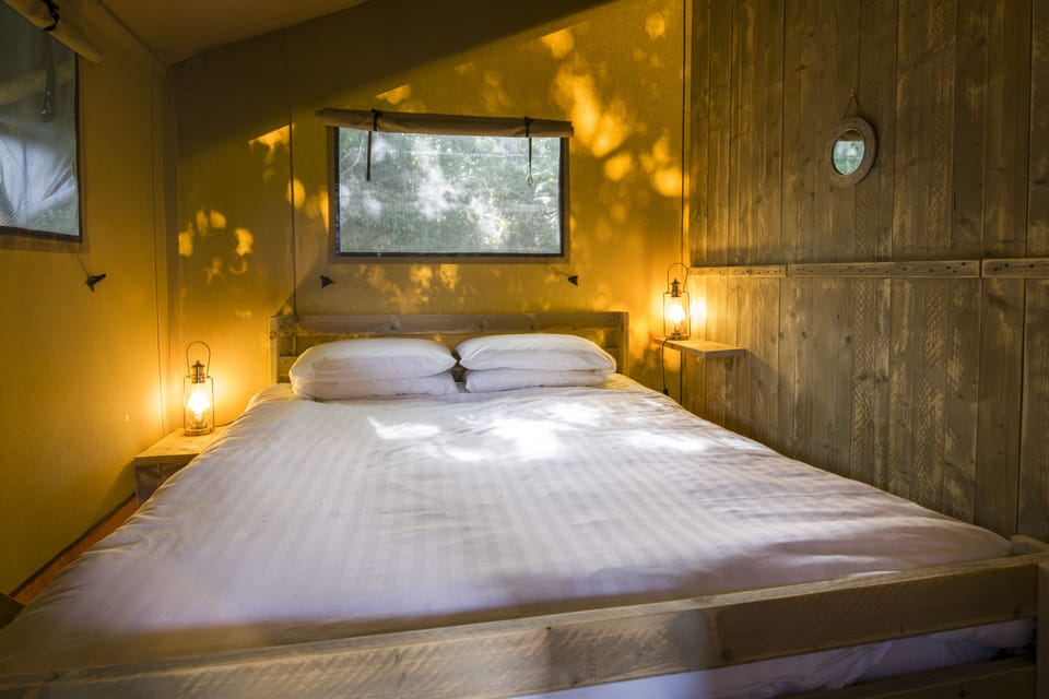 Premium bedding, individually decorated, individually furnished, desk