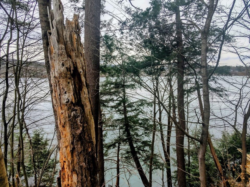 lake view from house