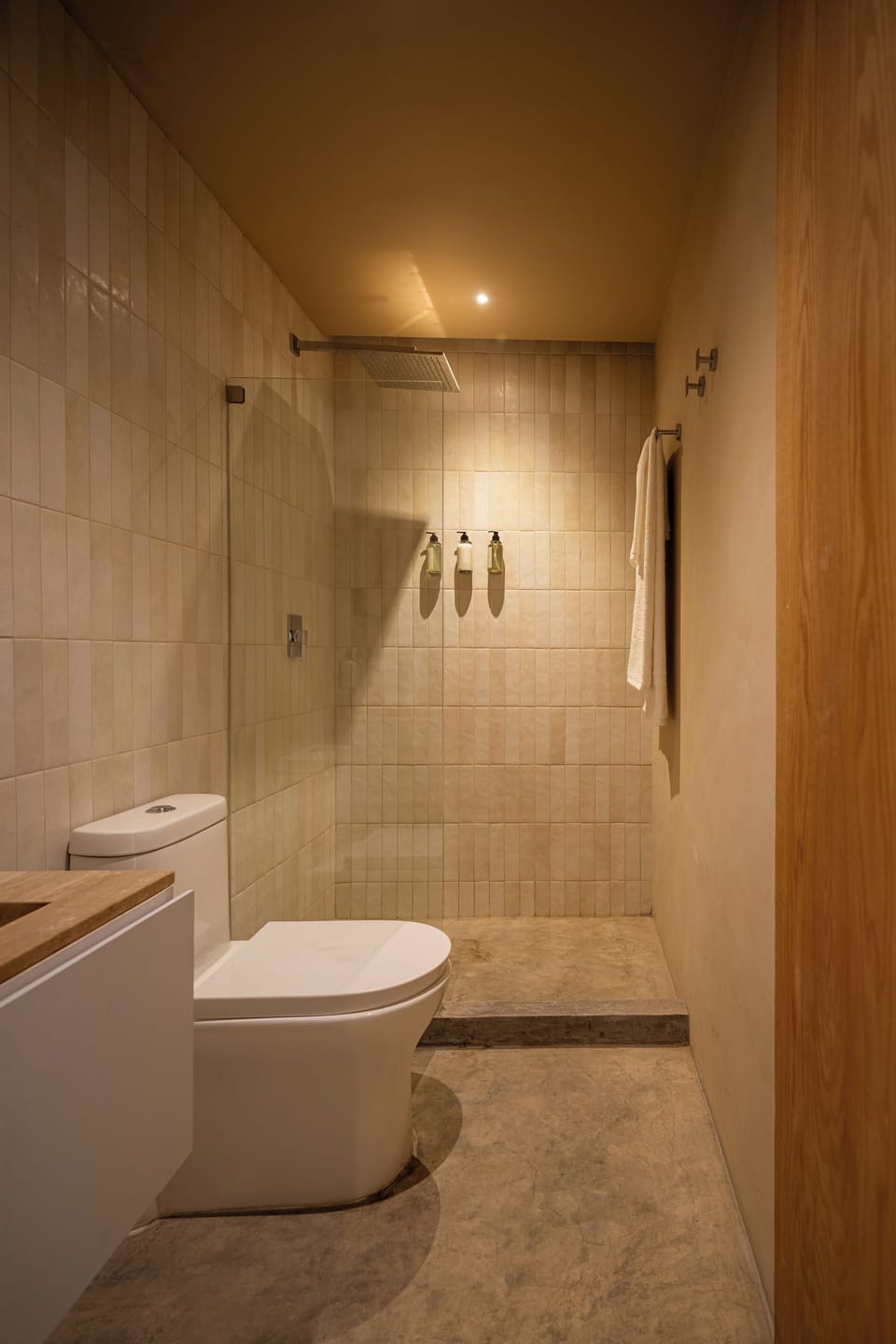Shower, towels, soap, shampoo