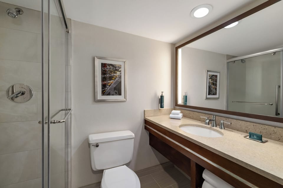 Combined shower/tub, eco-friendly toiletries, hair dryer, towels