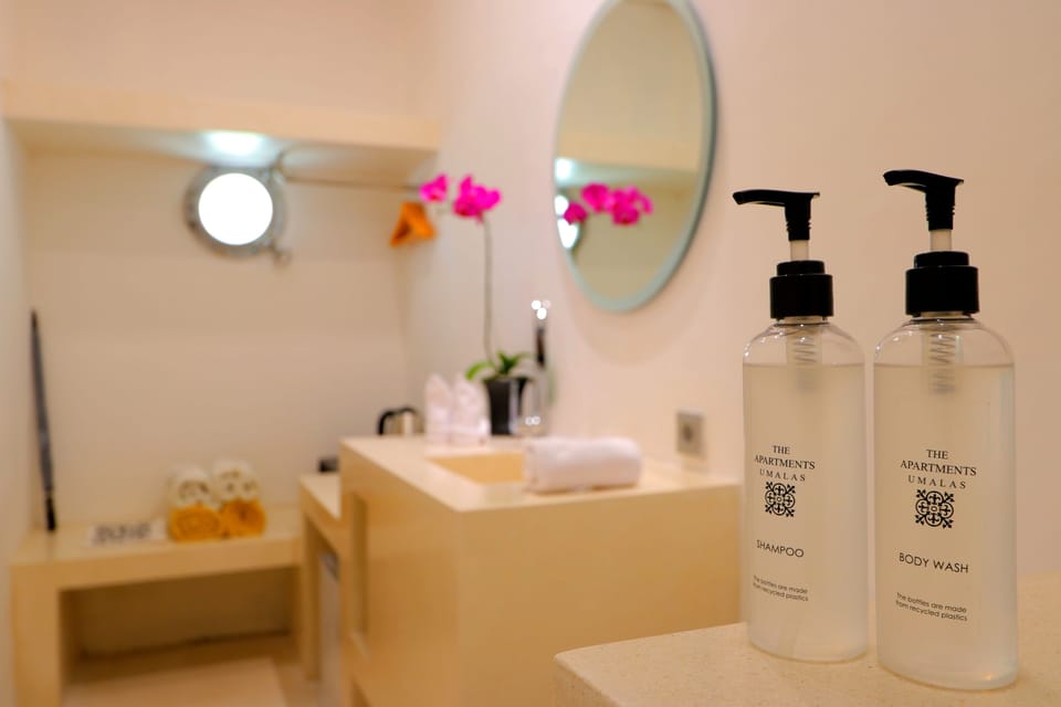 Superior Room | Bathroom | Free toiletries, hair dryer, towels, soap