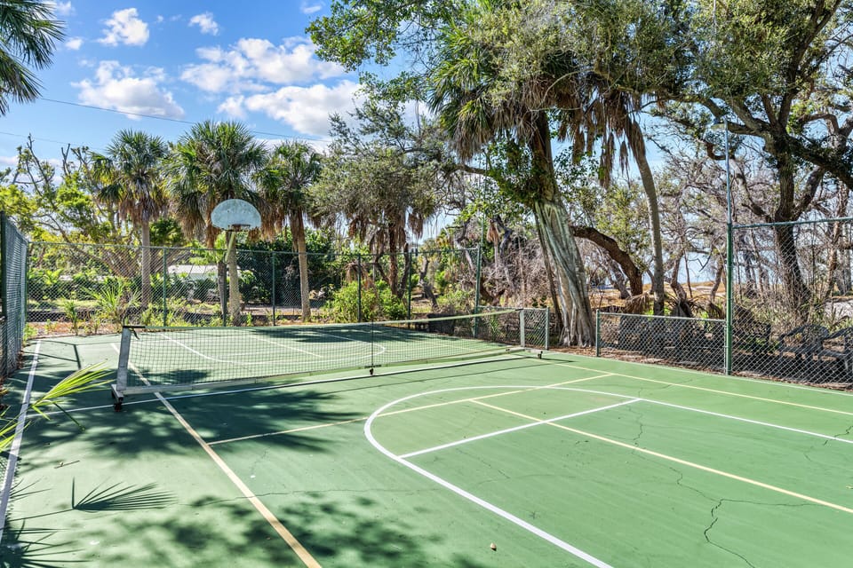 The court basks in sunlight, nets taut and ready, framed by gentle breezes and rustling coastal greenery.