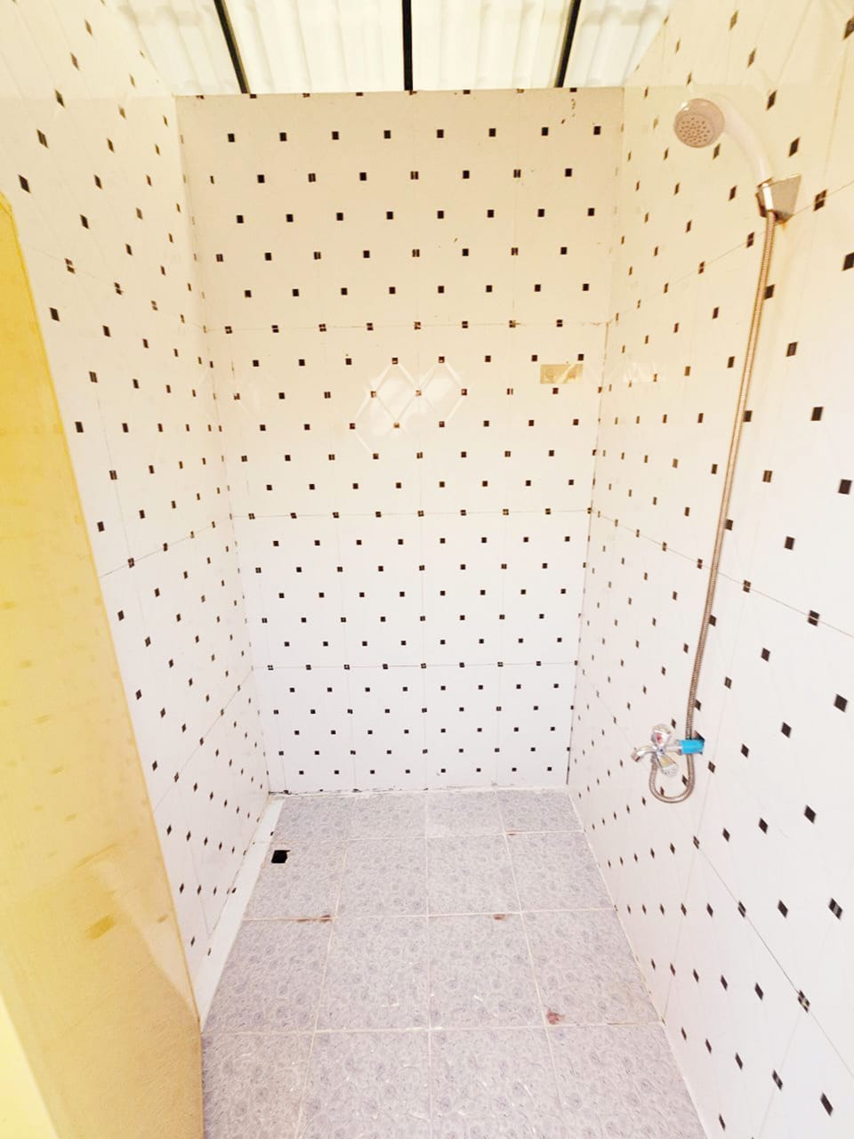 Shower, towels, toilet paper