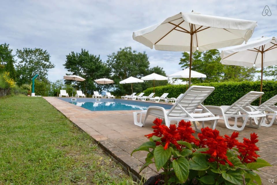Outdoor pool, open 8:00 AM to 8:00 PM, pool umbrellas, sun loungers