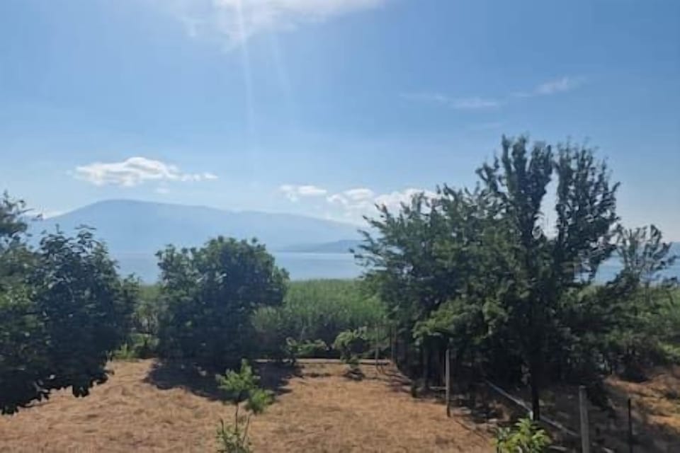 Lakeside View