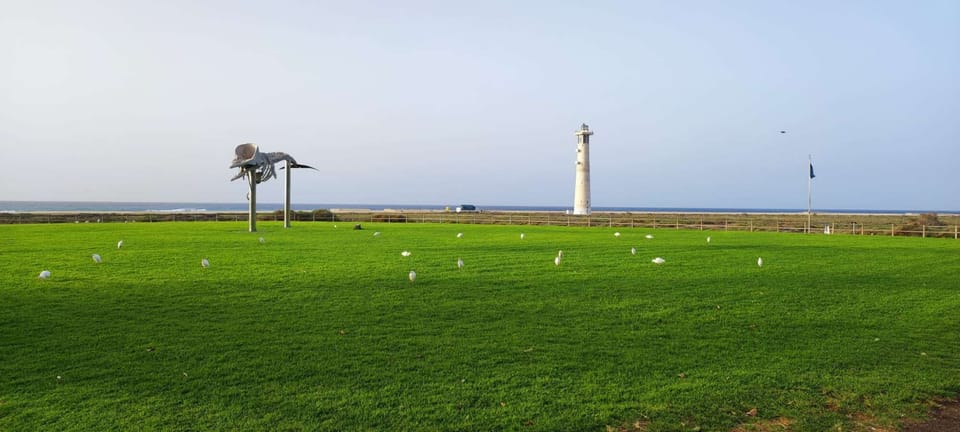 surroundings