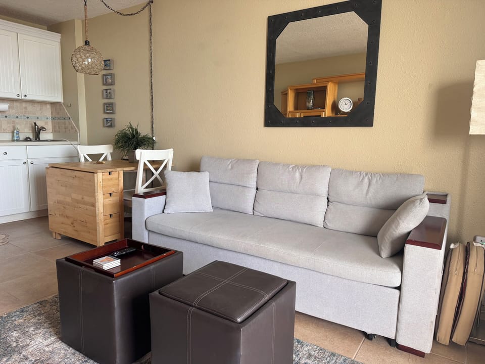 pull out sofa for extra sleeping