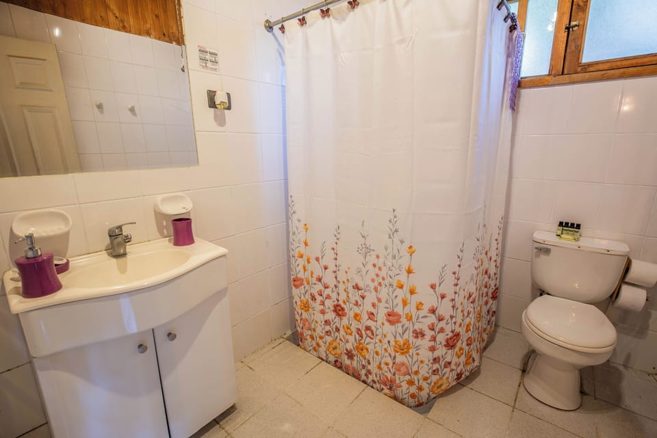 Shower, towels, soap, shampoo