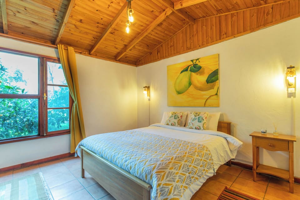 Basic Double Room, 1 Double Bed, Courtyard View | WiFi (free)