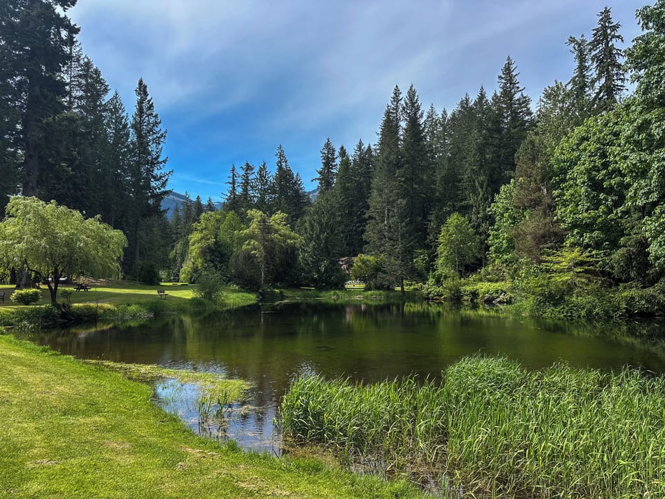 Community pond