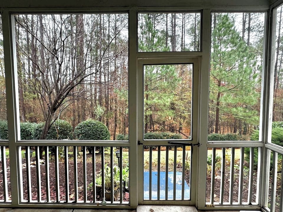 A relaxing View from the patio. Fresh Air greenery