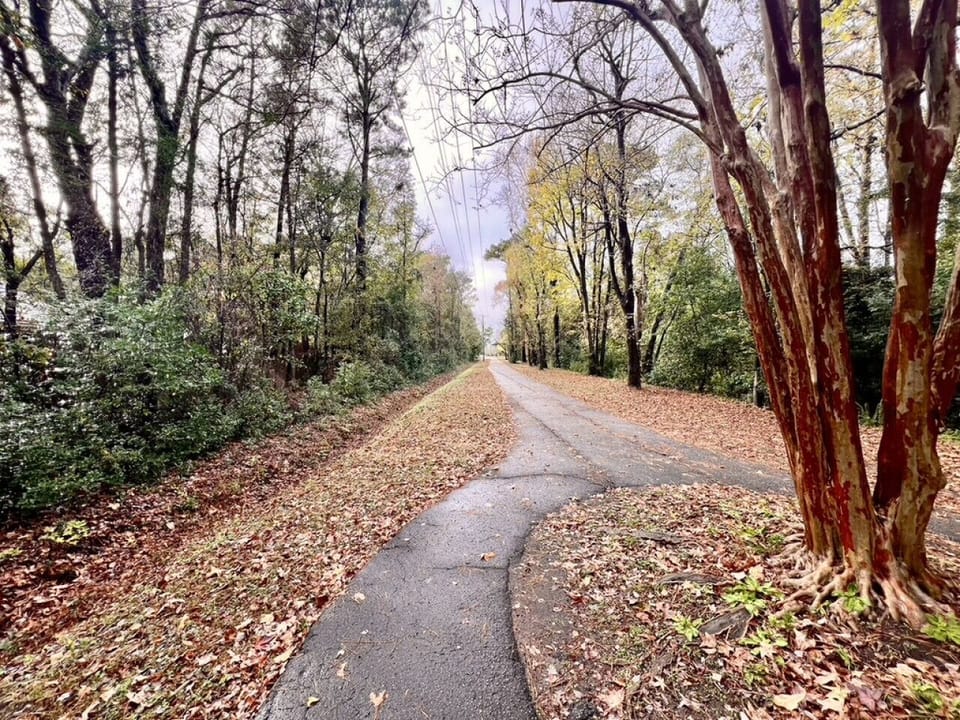 Beautiful bike path access down the street from your condo