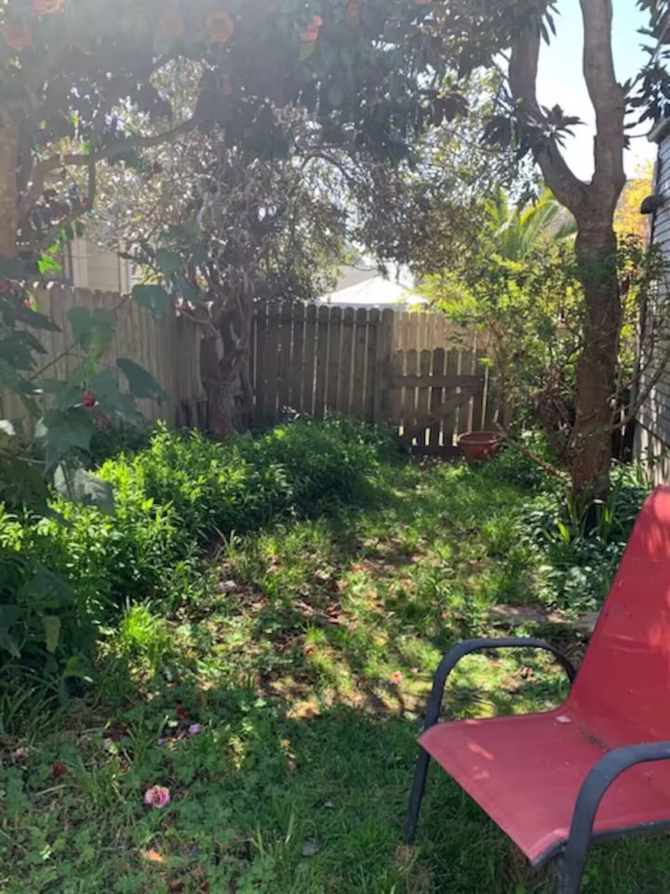garden