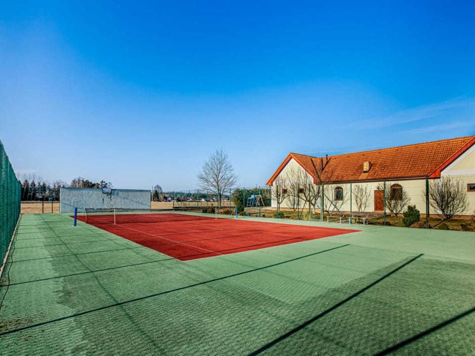 Grass, Tennis Court, Lawn, Net, Garden, Artificial Turf, Shade, Landscaping, Park