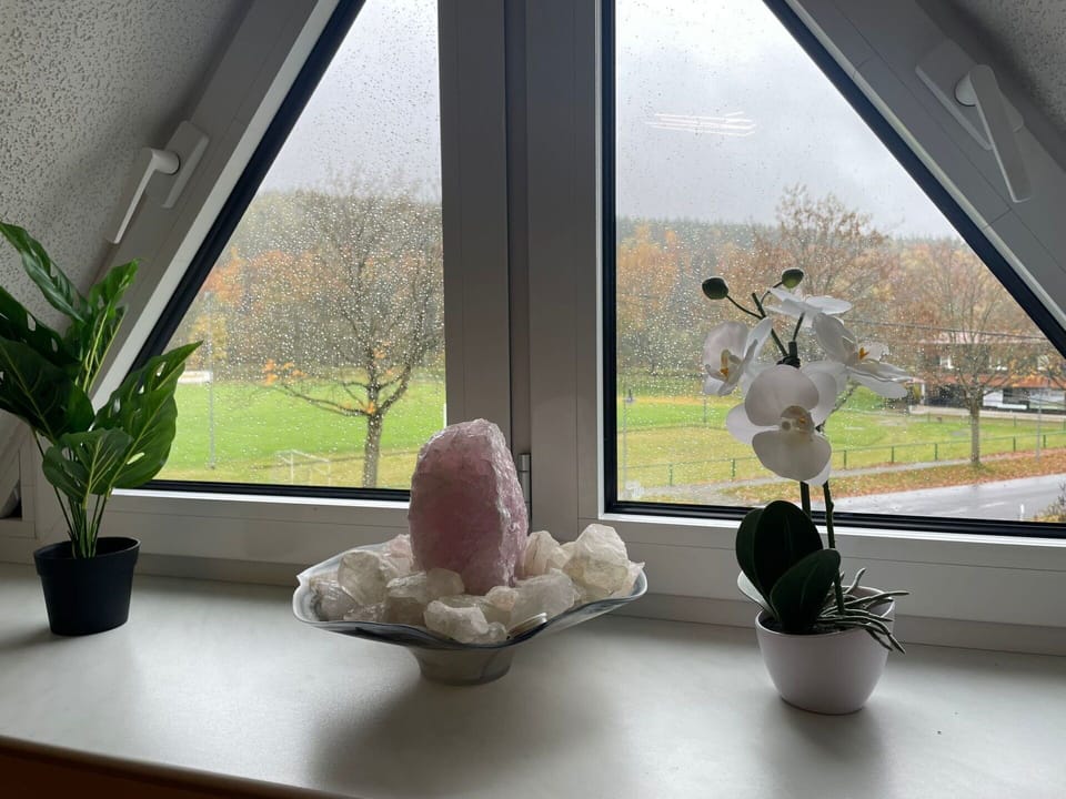 Glass, Daylighting, Flowerpot, Houseplant, Winter