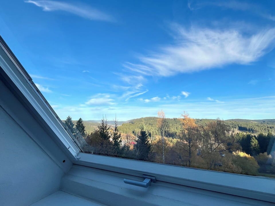 Blue, Morning, Larch, Daylighting, Meteorological Phenomenon, Cumulus