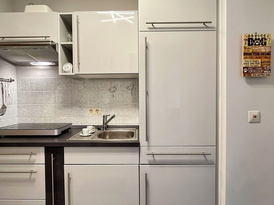 Kitchen Appliance, Kitchen, Countertop, Major Appliance, Cabinetry, Kitchen Sink, Home Appliance, Sink, Interior Design, Furniture