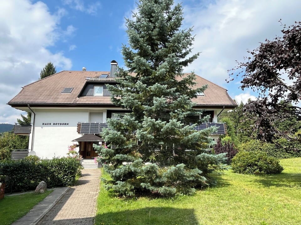 Shrub, Woody Plant, Cottage, Larch, Garden, Landscaping, Evergreen