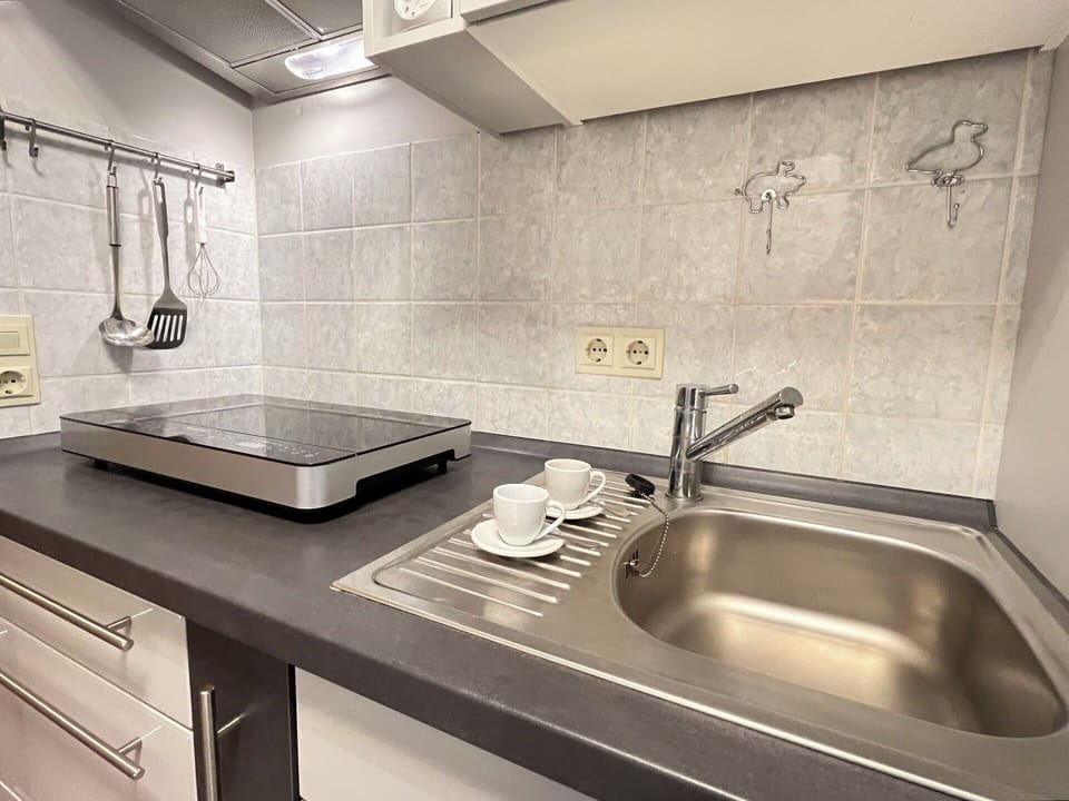 Kitchen, Countertop, Kitchen Appliance, Kitchen Sink, Plumbing Fixture, Major Appliance, Kitchen Stove, Flooring, Sink, Tap