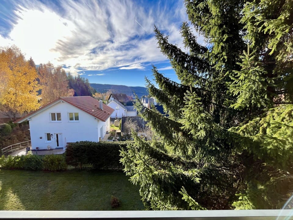 Tree, Leaf, House, Home, Shrub, Cottage, Larch, Evergreen
