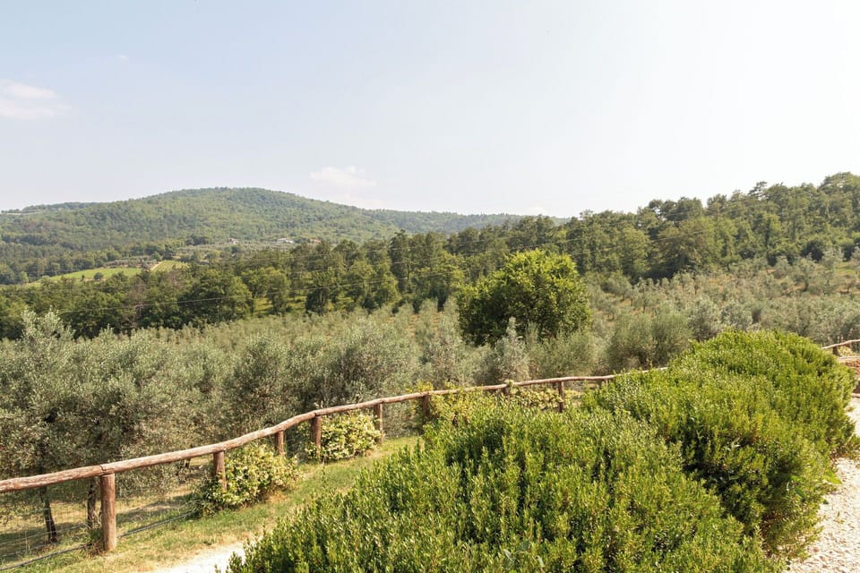 Natural Environment, Vegetation, Natural Landscape, Shrub, Plant Community, Forest, Nature Reserve, Plantation, Meadow, Shrubland