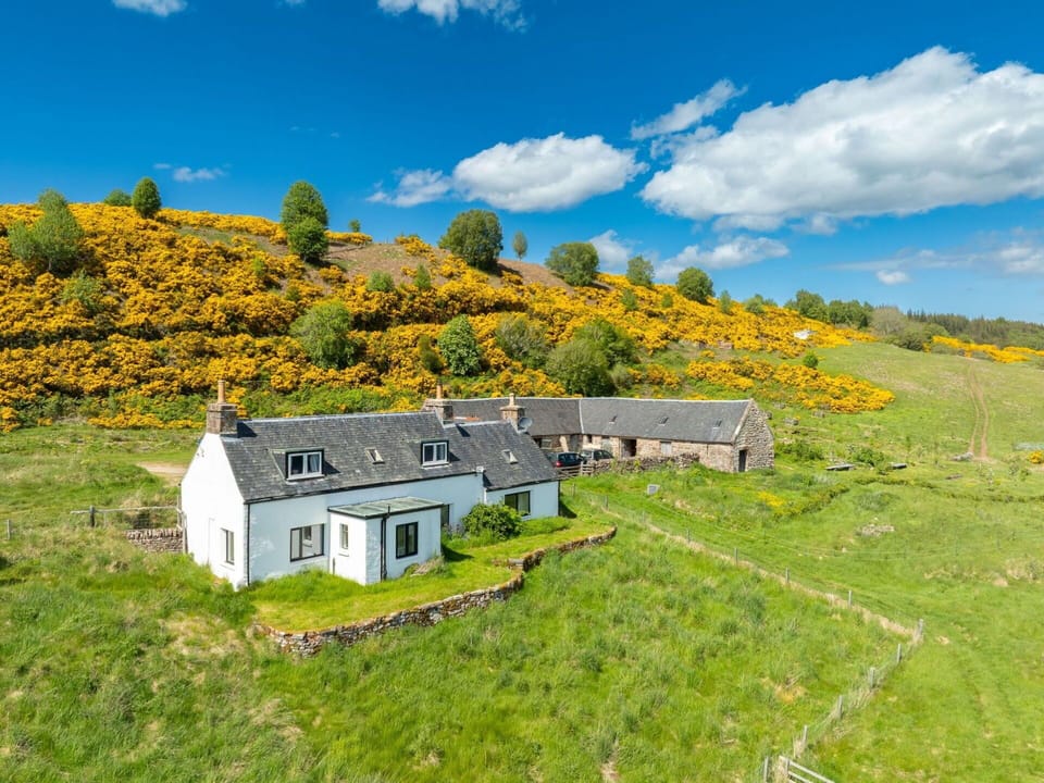 Grass, Vegetation, Grassland, Highland, Hill, Landscape, Rural Area, Cottage, Plant Community, Land Lot