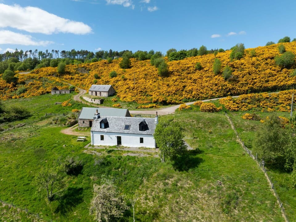 Grass, Grassland, Highland, Shrub, Hill, Rural Area, Landscape, Plant Community, Land Lot, Cottage