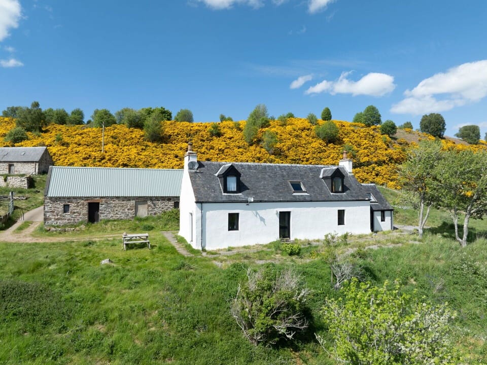 Grass, Highland, Cottage, Rural Area, House, Human Settlement, Village, Slope, Field, Farmhouse